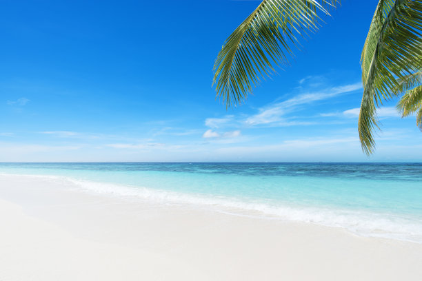 夏日海滩背景