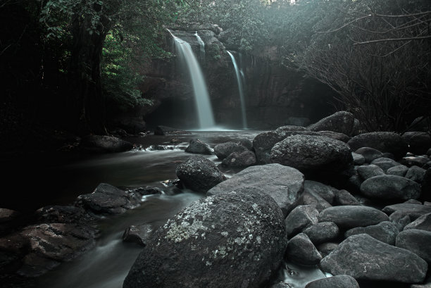 茂密丛林美景