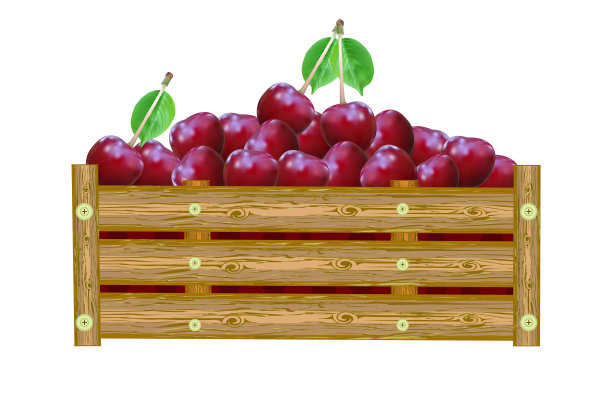 水果箱设计矢量图