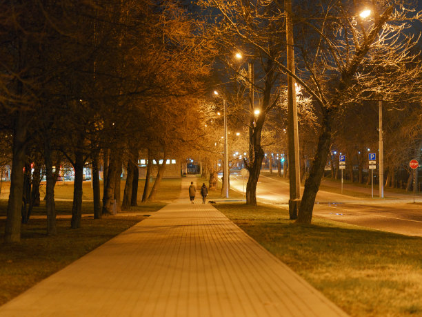 夜晚公园道路