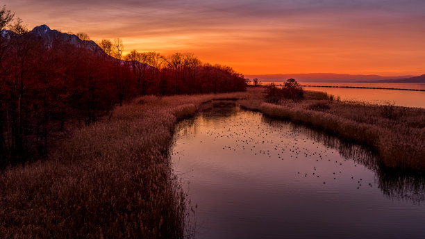 密林中的落日夕阳美景