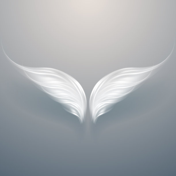 天使之翼背景图