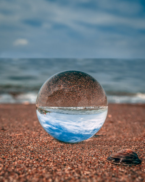 夏日沙滩上的贝壳海星