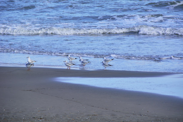 漂浮