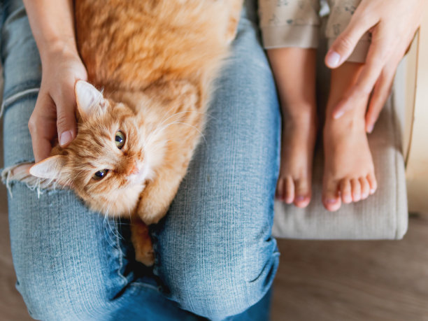 女孩抱着猫咪睡觉