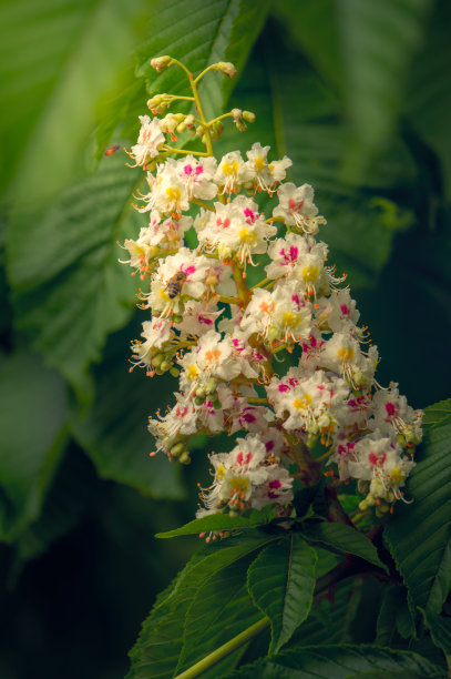 五一劳动节素材