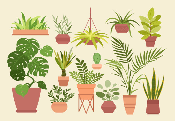 卡通装饰插画绿色植物背景