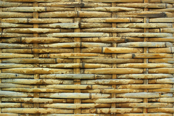 竹子图片竹子背景