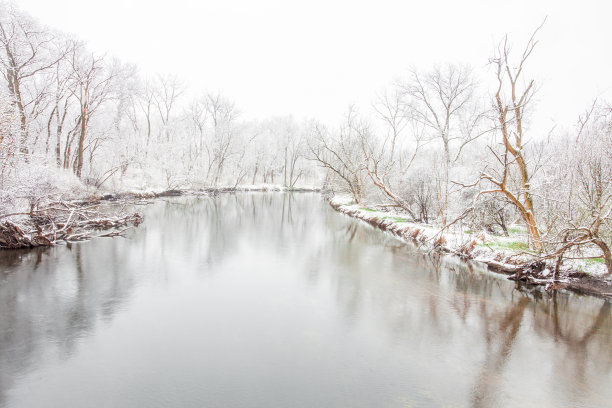 雪景树林