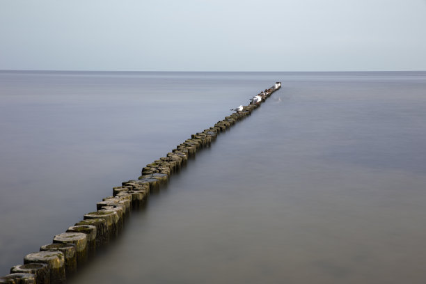 慢门海鸥