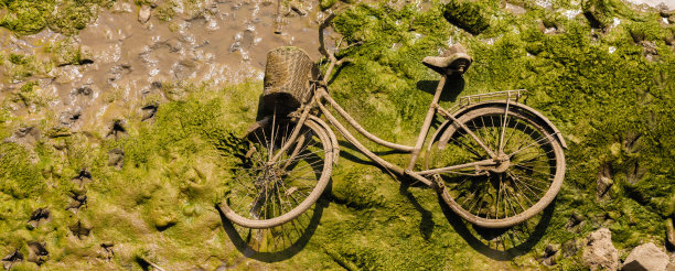 废弃的自行车