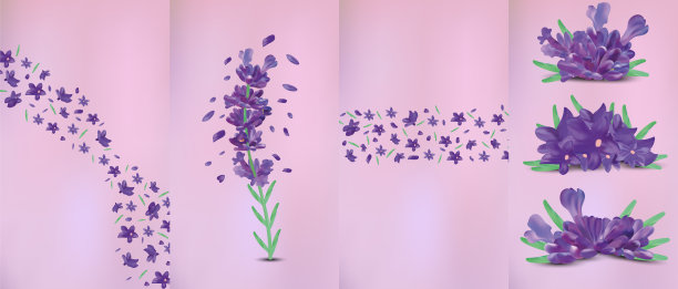 3d花卉图案