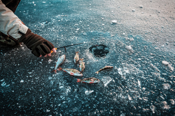 下雪钓鱼