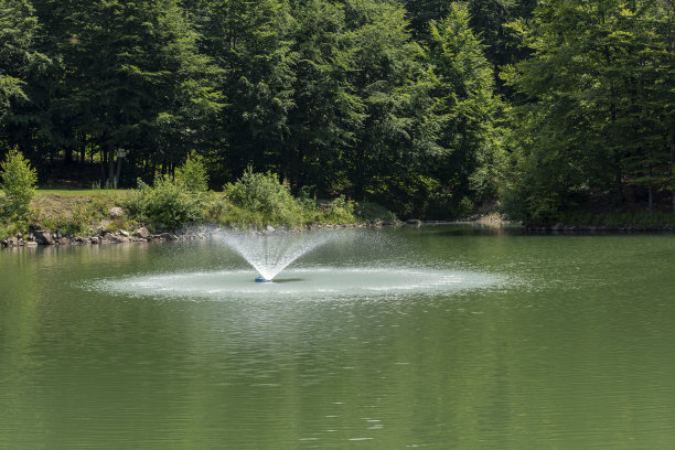 假山流水