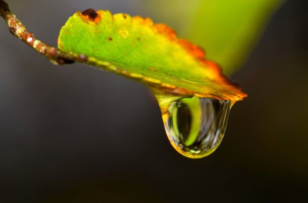 清明时节雨纷纷