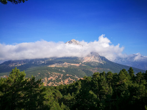 秋天树林风景