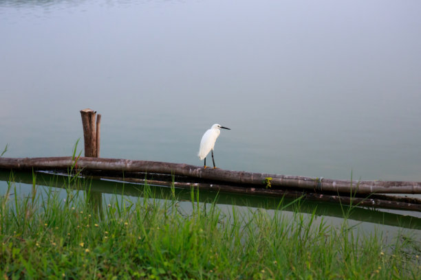 决战江湖