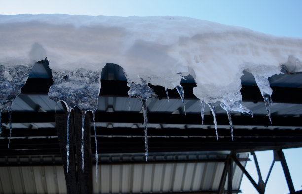 冰雪飞扬