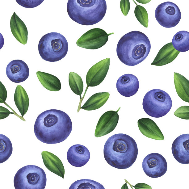 蓝莓图案设计