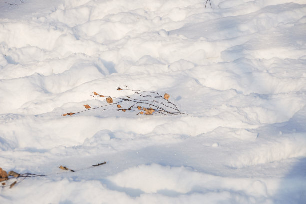 大雪时节