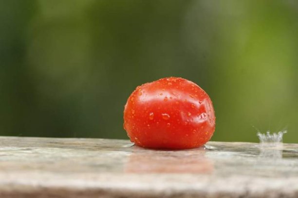 西红柿高清