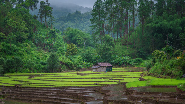 深秋乡村景色