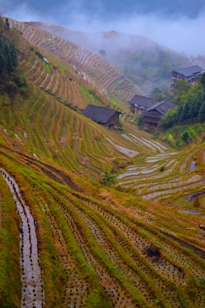 中国风民居