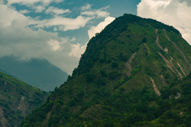 远山丛林美景