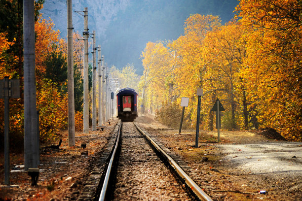 秋季森林老式铁路