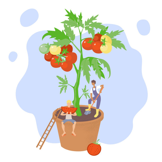 水果 蔬菜 矢量图