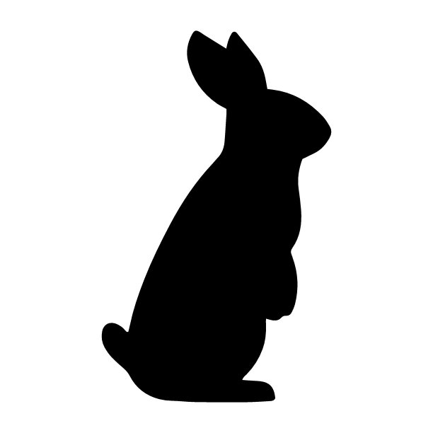 白兔与黑白兔
