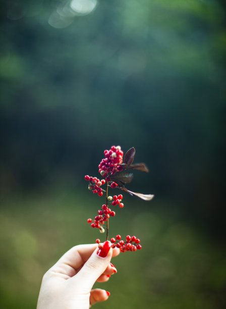 果花盛开