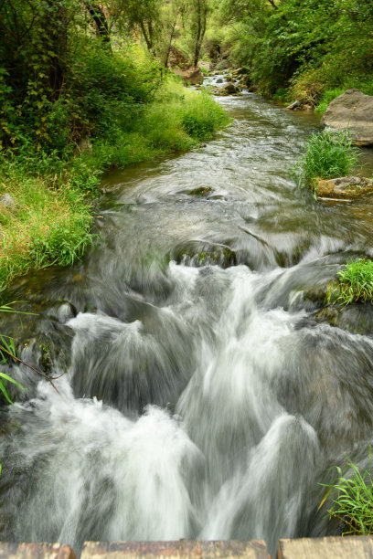 山林泉水