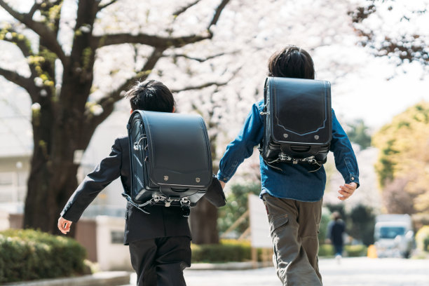 兄弟,仅日本人,相伴