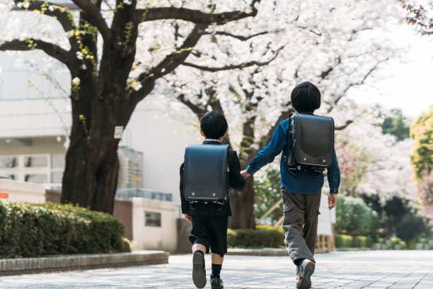 兄弟,仅日本人,相伴