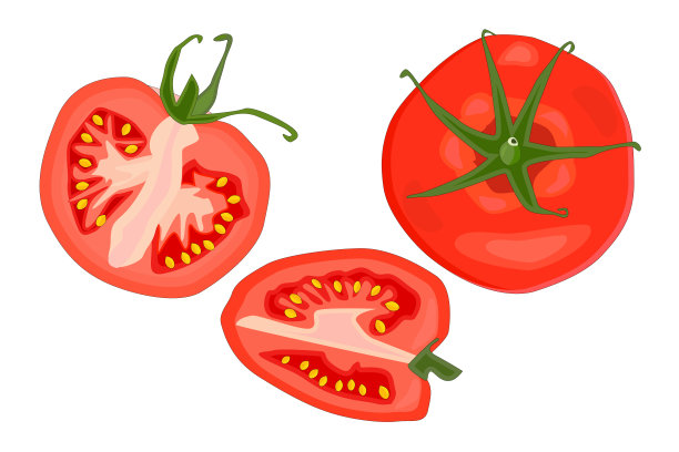 西红柿logo