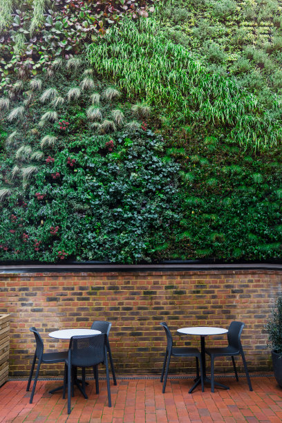 植物墙,绿叶背景