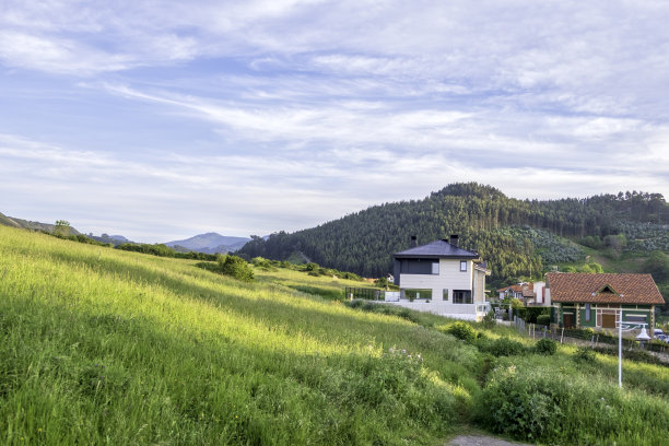 阳光森林小路,高清全景