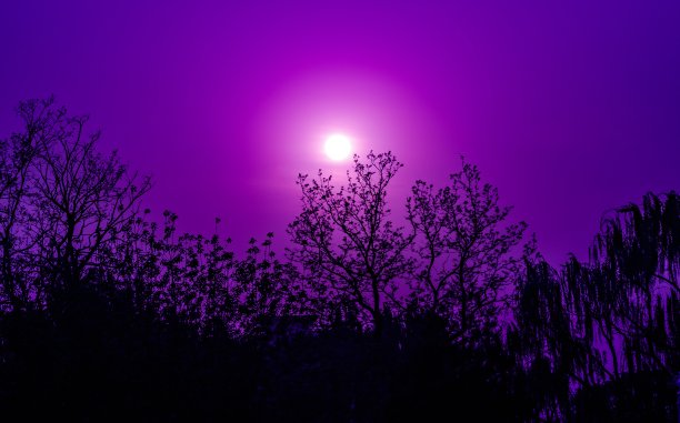 紫色浪漫星空背景