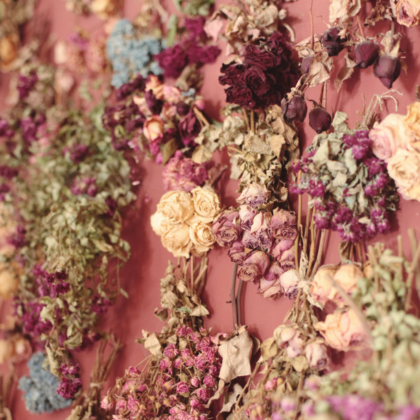 壁纸墙纸花卉