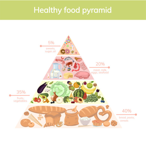 金字塔营养食物