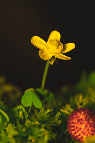 清明时节宣传