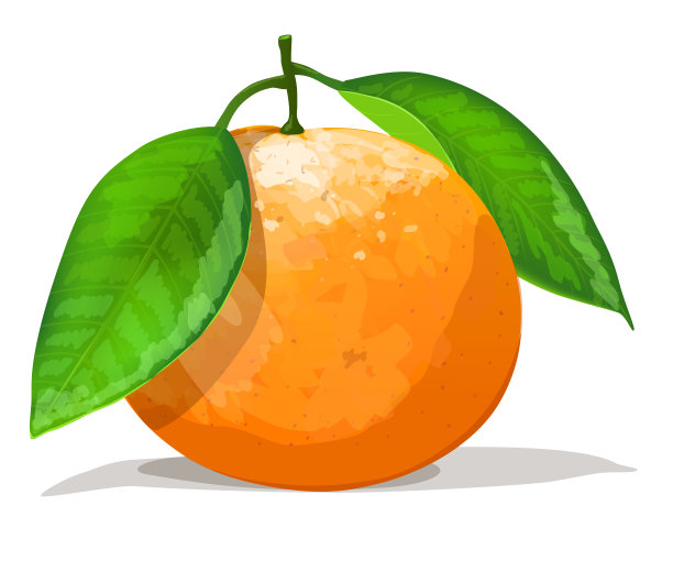 橙子水果装饰画挂画