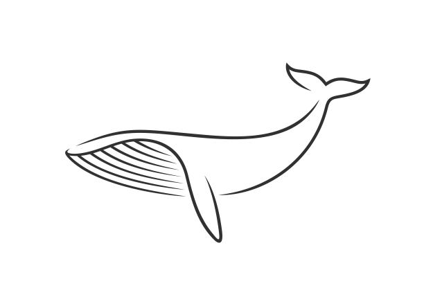 鲸鱼标志设计