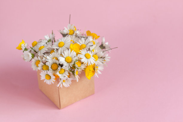 粉色花朵包装盒