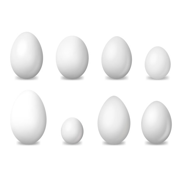 鸡蛋模板