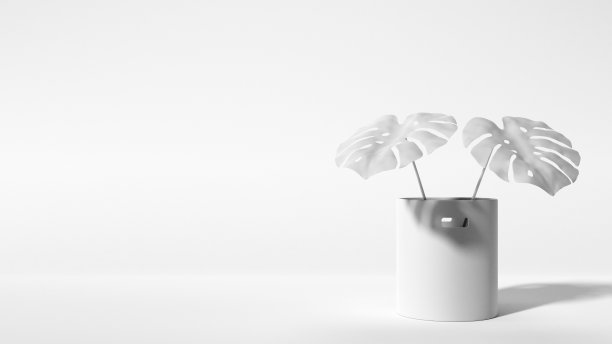 白色花瓶3d模型