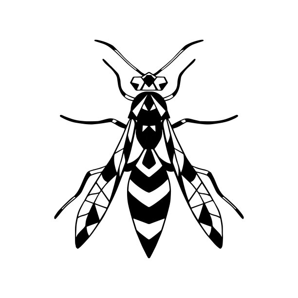 飞蚁昆虫插画