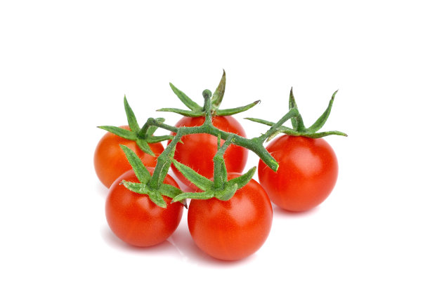 特写小番茄