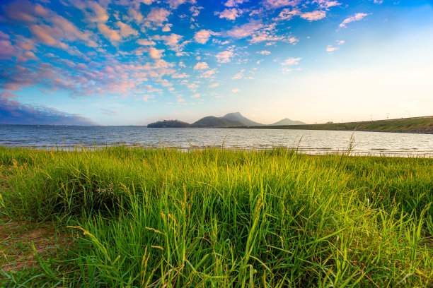 夏季草原河流